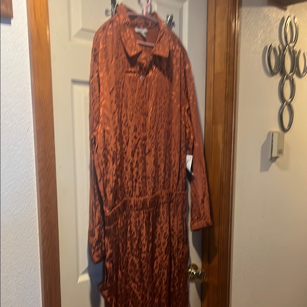 Elegant Rust Jumpsuit